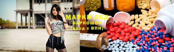 прущие грибы Заводоуковск