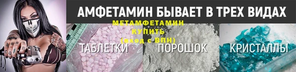 прущие грибы Заводоуковск