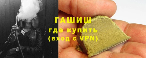 прущие грибы Заводоуковск