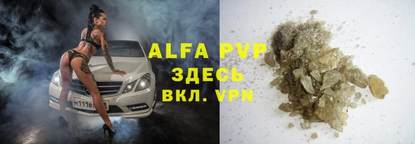 прущие грибы Заводоуковск