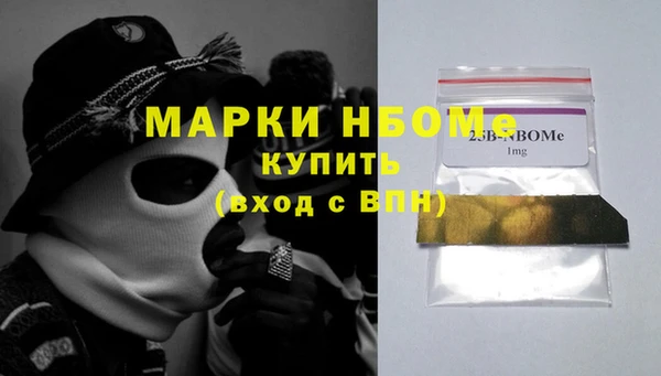 прущие грибы Заводоуковск