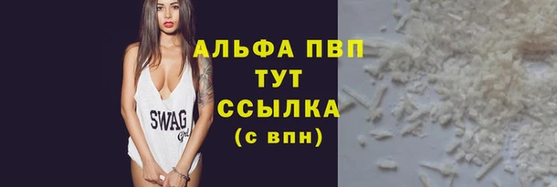 прущие грибы Заводоуковск