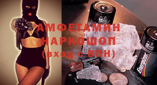 прущие грибы Заводоуковск