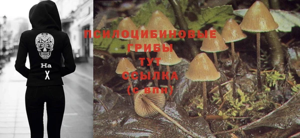 прущие грибы Заводоуковск