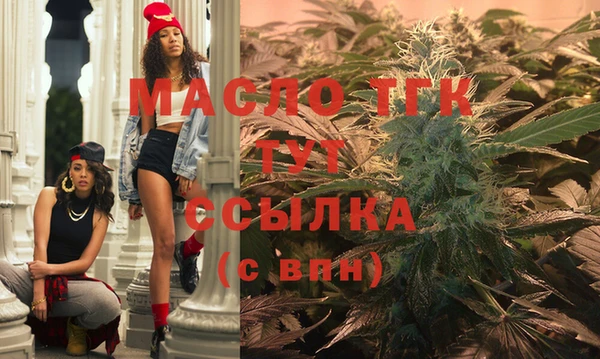 прущие грибы Заводоуковск