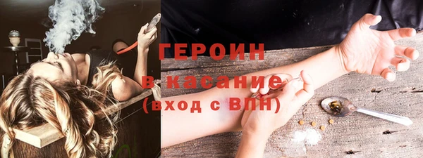 прущие грибы Заводоуковск