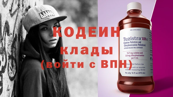 прущие грибы Заводоуковск