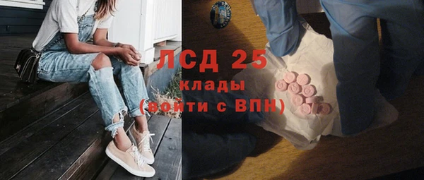 прущие грибы Заводоуковск
