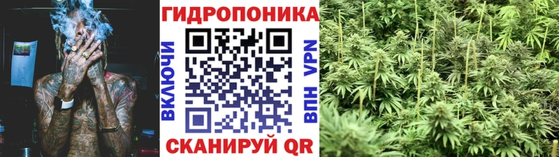 Канабис SATIVA & INDICA Кстово